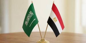 إعلام رسمي: البرلمان المصري يؤجّل مناقشة تقديم الدعم الدفاعي للسعودية إلى 26 أكتوبر