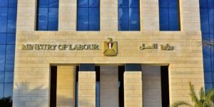 1095 فرصة عمل في الأمن والحراسة برواتب تصل لـ20 ألف جنيه