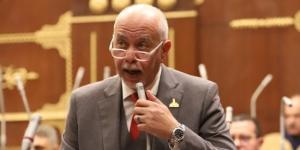 النائب حازم الجندي: منتدى مصر 2026 يرسخ مبدأ المكاشفة مع المواطنين :اليوم السابع