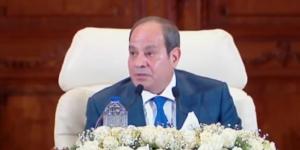 الرئيس السيسي: محطات الكهرباء لم تكن للتنمية فقط.. بل لتثبيت الدولة المصرية