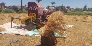قبل زراعة القمح.. لماذا يمثل توقيت الزراعة عاملًا حاسمًا فى الموسم الجديد؟ :اليوم السابع