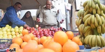 نصيب الفرد من الفاكهة في مصر يرتفع إلى 69.6 كجم في 2024/2025
