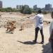 ثلاثة ضوابط قانونية لحيازة الحيوانات الخطرة والكلاب
