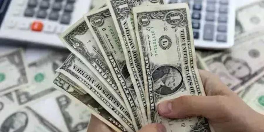 آخر تحديث لـ سعر الدولار الأمريكي أمام الجنيه.. وصل لفوق 54 جنيهًا