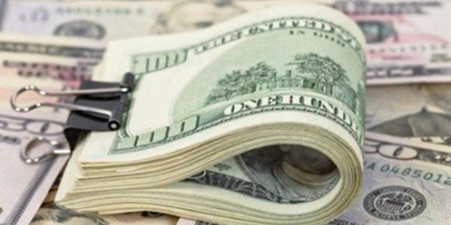 استمرار تثبيت سعر الدولار الجمركي عند 16 جنيهاً