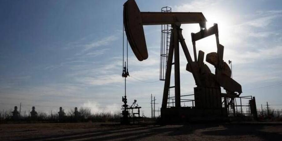 الطاقة الدولية: توقيت سحب احتياطيات الديزل مرهون بقرارات الدول