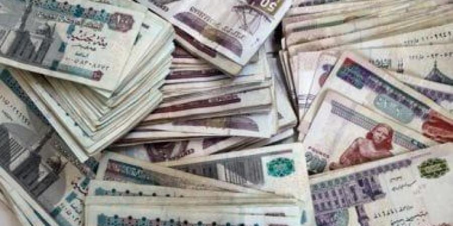 استقرار سعر الدولار عند 54.45 جنيه للشراء في البنوك المصرية