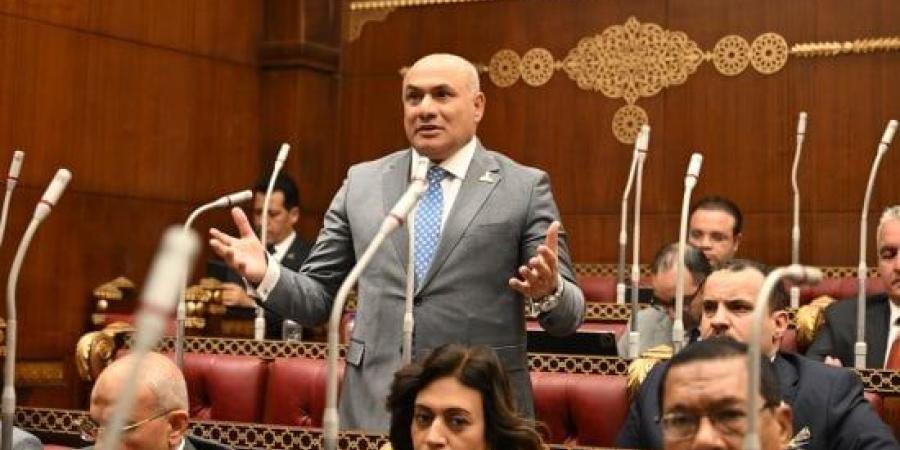 المستشار شعبان رأفت: منتدى مصر 2026 يفتح المجال أمام حلول واقعية لقضايا المواطن :اليوم السابع