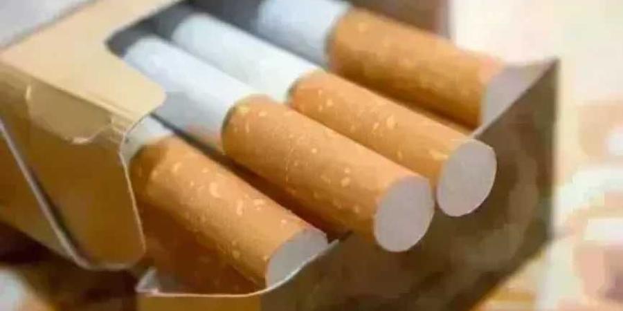 أسعار السجائر اليوم الإثنين 19 أكتوبر 2026 بعد الزيادة.. القائمة الكاملة