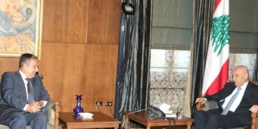 نبيل فهمى يزور جنوب لبنان غدًا.. ما الرسائل التى يحملها؟ :اليوم السابع